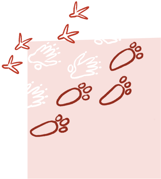Footprints illustration
